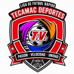 logo liga