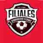 logo liga