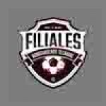 logo liga