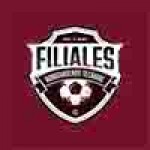 logo liga