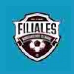 logo liga